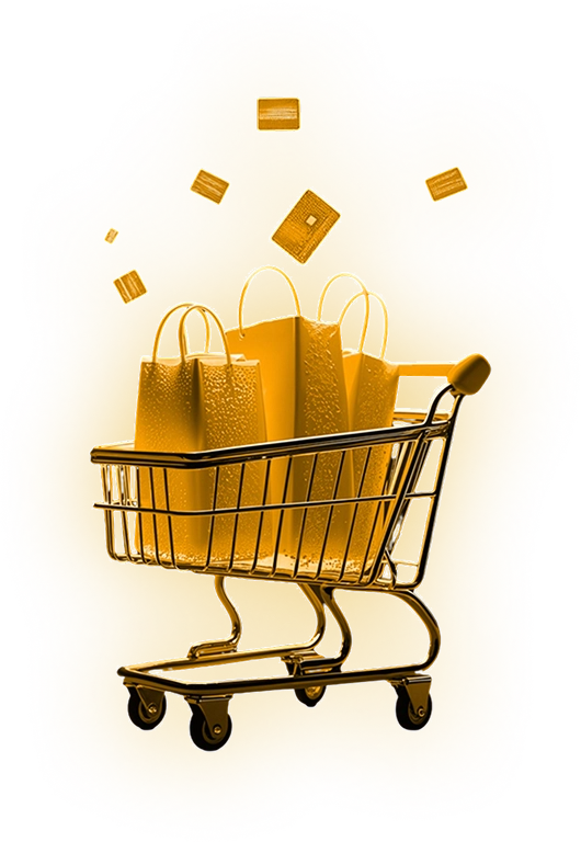 Ecommerce Digital Marketing services